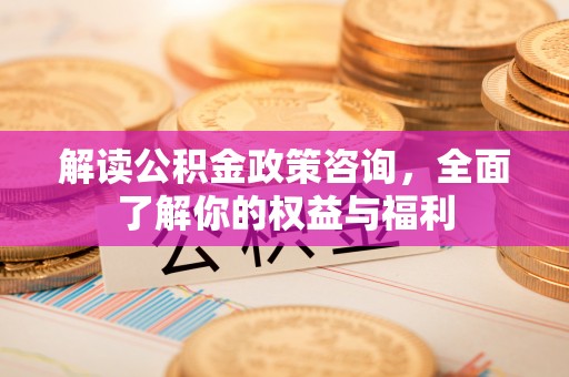 金秀解读公积金政策咨询，全面了解你的权益与福利