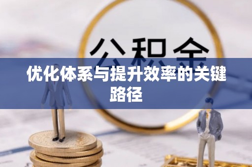 金秀优化体系与提升效率的关键路径