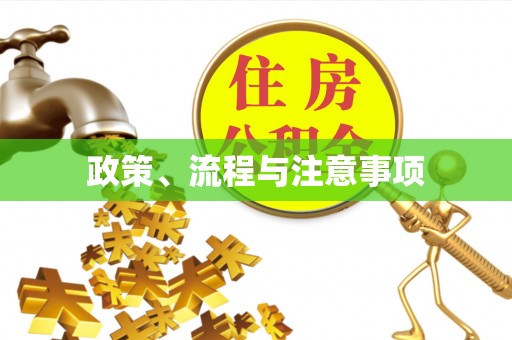 金秀政策、流程与注意事项