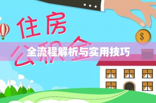 金秀全流程解析与实用技巧