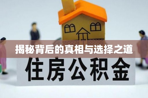 金秀揭秘背后的真相与选择之道