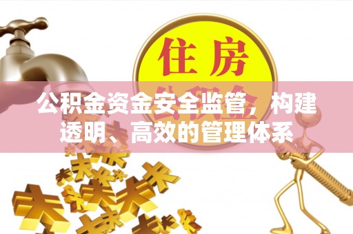 金秀公积金资金安全监管，构建透明、高效的管理体系