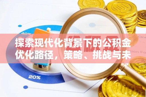 金秀探索现代化背景下的公积金优化路径，策略、挑战与未来展望