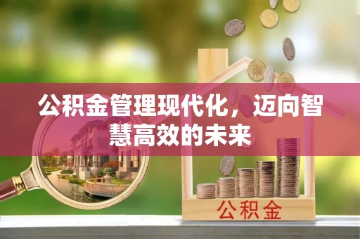 金秀公积金管理现代化，迈向智慧高效的未来