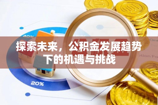 金秀探索未来，公积金发展趋势下的机遇与挑战