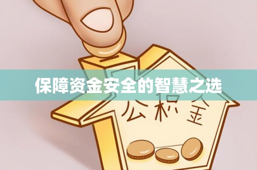 金秀保障资金安全的智慧之选