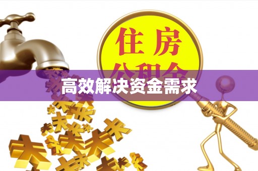 金秀高效解决资金需求