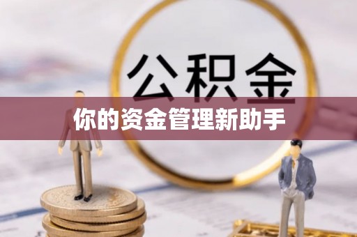 金秀你的资金管理新助手