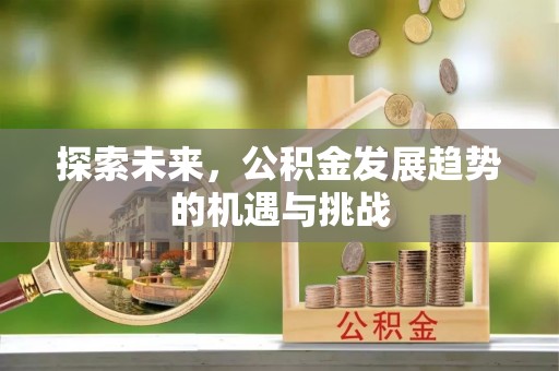 金秀探索未来，公积金发展趋势的机遇与挑战
