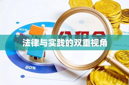 金秀法律与实践的双重视角