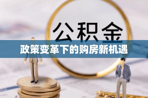 金秀政策变革下的购房新机遇