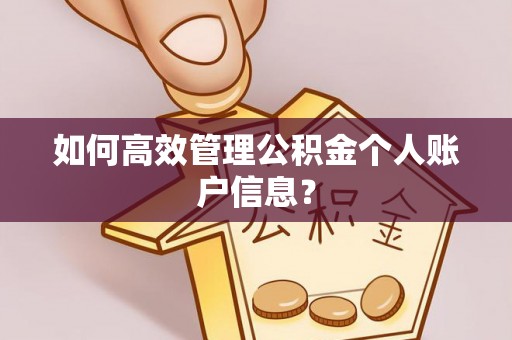 金秀如何高效管理公积金个人账户信息？