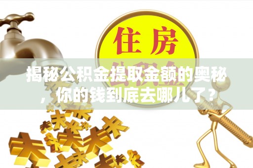 金秀揭秘公积金提取金额的奥秘，你的钱到底去哪儿了？