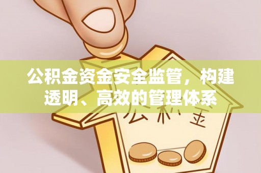 金秀公积金资金安全监管，构建透明、高效的管理体系