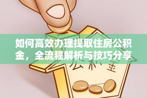金秀如何高效办理提取住房公积金，全流程解析与技巧分享