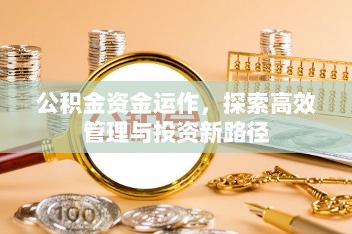 金秀公积金资金运作，探索高效管理与投资新路径