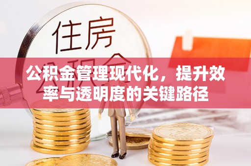 金秀公积金管理现代化，提升效率与透明度的关键路径