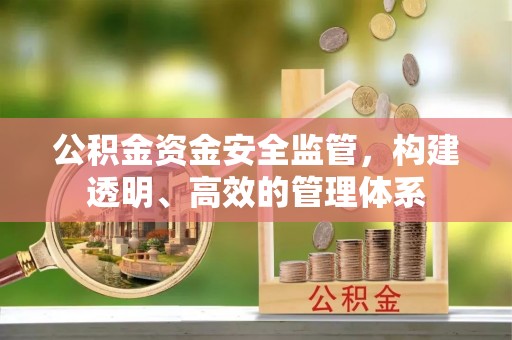 金秀公积金资金安全监管，构建透明、高效的管理体系