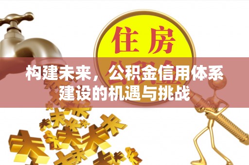 金秀构建未来，公积金信用体系建设的机遇与挑战