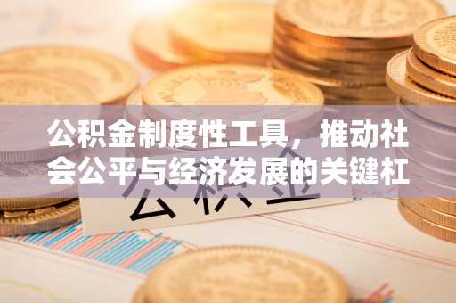 金秀公积金制度性工具，推动社会公平与经济发展的关键杠杆