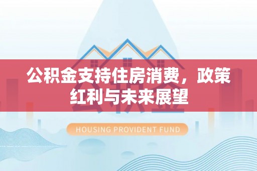 金秀公积金支持住房消费，政策红利与未来展望