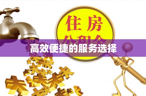 金秀高效便捷的服务选择