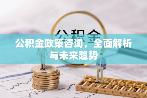 金秀公积金政策咨询，全面解析与未来趋势